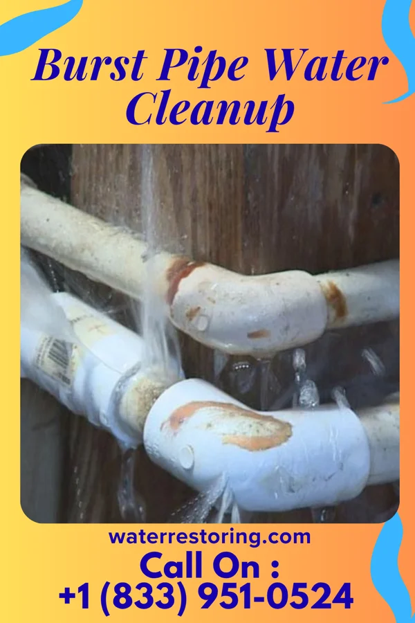 Burst Pipe Water Cleanup in Saranac, MI