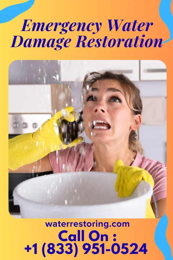 Emergency Water Damage Restoration in Saranac, MI