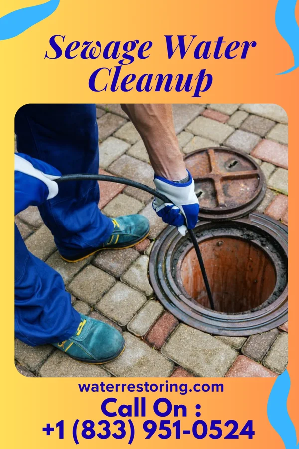 Sewage Water Cleanup in Saranac, MI