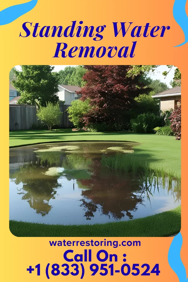 Standing Water Removal in Saranac, MI
